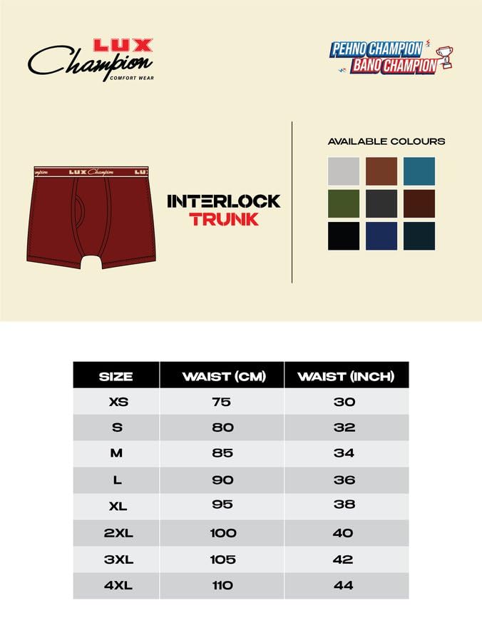 Men Trunks - Image 6