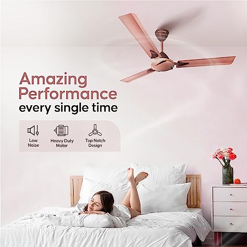 Longway Creta P1 1200 mm/48 inch Remote Controlled 3 Blade Anti-Dust Decorative Star Rated Ceiling Fan (Rusty Brown, Pack of 1) - Image 6