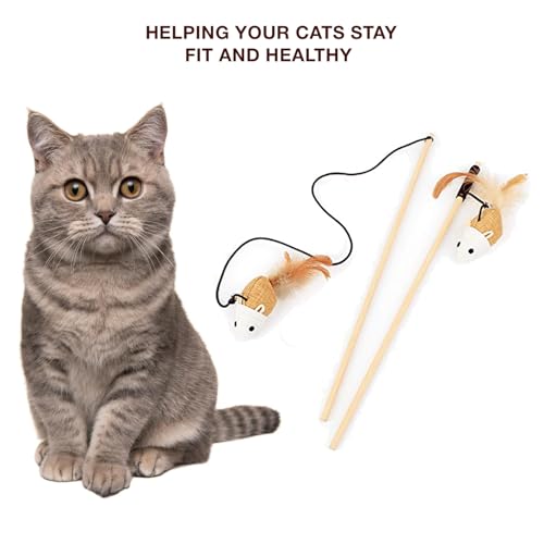 Cat and Dog Playing Stick |Durable Dog and cat Teaser Playing Stick with Interactive Feather| Non- Slip and Non Toxic Durable Teasing Wand Toy with Rope (Multi) - Image 7