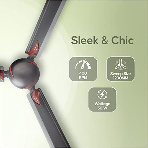 LONGWAY Creta P2 1200 mm/48 inch Ultra High Speed 3 Blade Anti-Dust Decorative Star Rated Ceiling Fan (Smoked Brown, Pack of 2) - Image 5