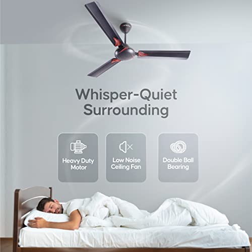 LONGWAY Creta P2 1200 mm/48 inch Ultra High Speed 3 Blade Anti-Dust Decorative Star Rated Ceiling Fan (Smoked Brown, Pack of 2) - Image 6