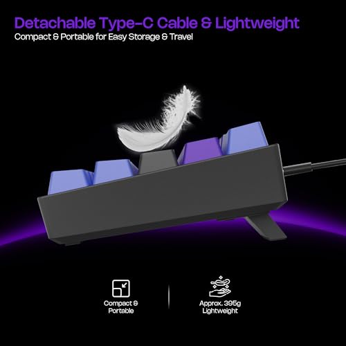 Archer Tech Lab Wired Mechanical Gaming Keyboard| 60% Compact, 63 Keys+ 26 Anti-Ghosting, Blue Switches Tactile Feedback, 17 RGB Effects, 50 Million Clicks for Laptop Mac PS4 PS5 Xbox (Astra M400) - Image 6