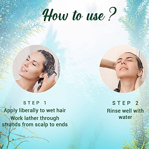Biotique Ocean Kelp Anti Hairfall Shampoo | Intensive Hair Growth Therapy| Anti Hairfall Shampoo that Maintains Shine |100% Botanical Extracts | Suitable for All Hair Types |500ml - Image 6