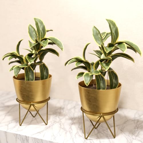 Lifelong Metal Set of 2 Plant Stand for Balcony & Living Room Capacity 10Kg,Anti-Rust Pot Stand for Outdoor Plants & Indoor Planters,Gamla,Planter,Flowerpot,Garden,Plant Stands for Balcony Decoration