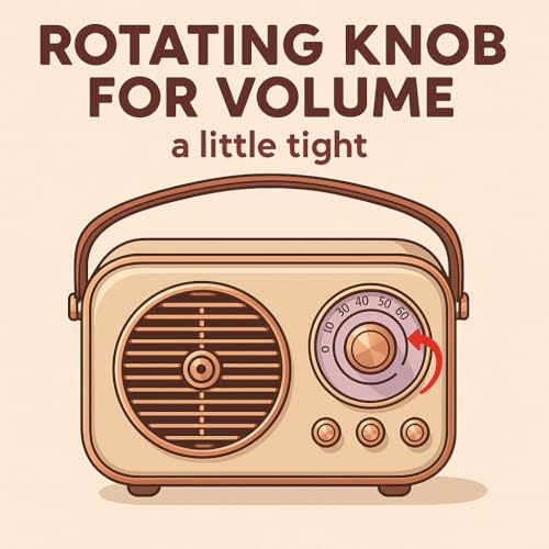 Fire turtle Vintage Bluetooth Wireless Speaker | 10W RMS Loud Sound | Retro Design with Type-C Charging, 8H Battery Backup, USB & AUX Input, Portable Home & - Image 4